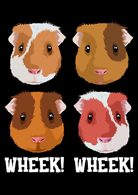 Guinea Pig Gift Wheek