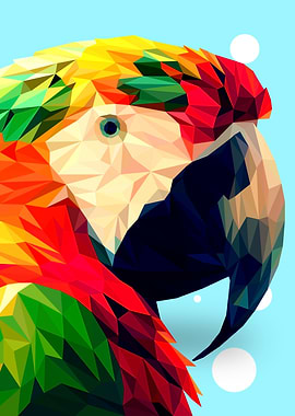 Macaw