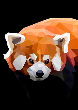 Red Panda