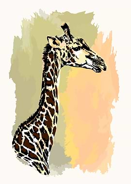 Giraffe Color Wash Style
