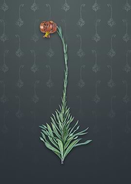 Scarlet Martagon Lily