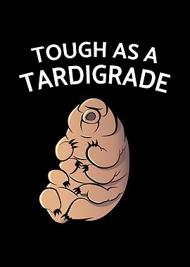 Touch As A Tardigrade