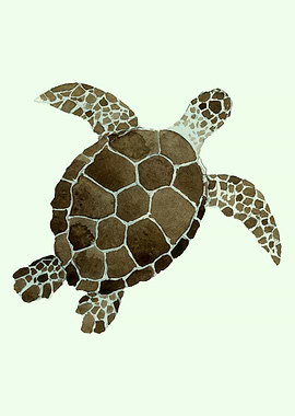 Sea Turtle