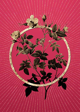 Pink Flowering Rosebush