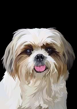Shih tzu in vector style
