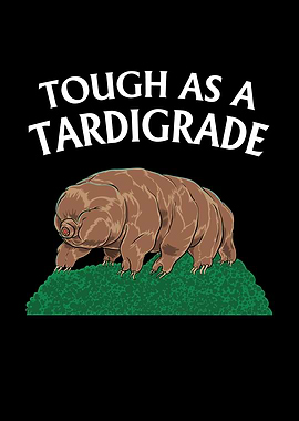 Touch As A Tardigrade