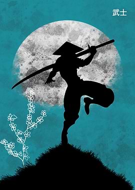 Assassin Ninja Anime