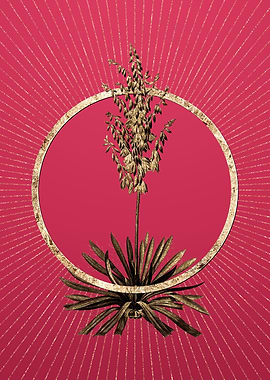 Viva Magenta Adams Needle