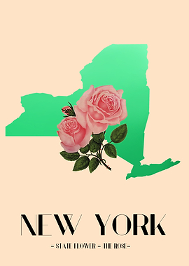 New York Rose