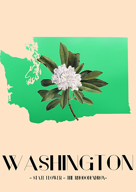 Washington Rhododendron