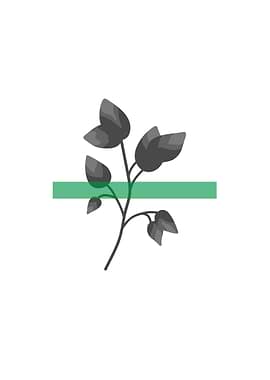 Leaf greyscale poster