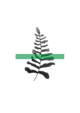 Greyscale botanical art