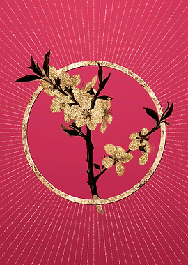 Gold Almond Tree Flower