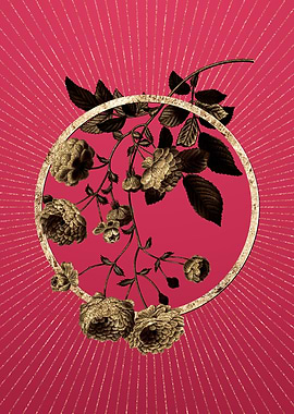 Gold Pink Rambler Roses