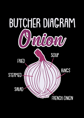 Onion Anatomy