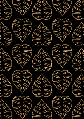 Black Gold Monstera