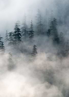 North Bend Washington