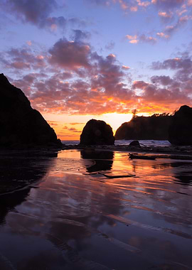 Olympic National Park