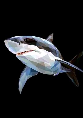 Shark