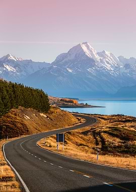 On the road New Zealand