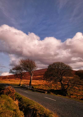 Scenic road in Wicklow