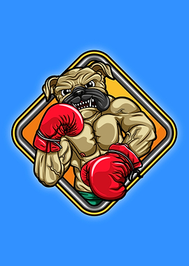 Cute boxing pug dog