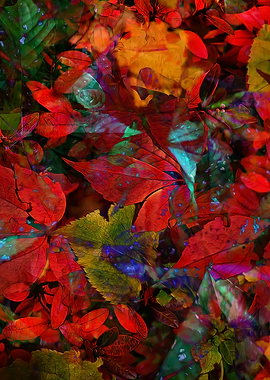 Autumn Leaves