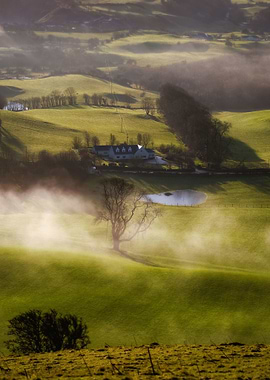 Irish rural scape