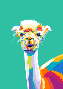 Alpaca Colorful art