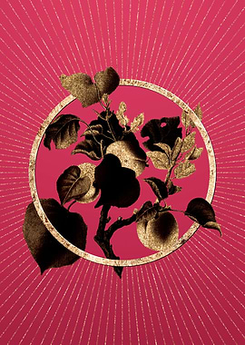 Apricot on Viva Magenta