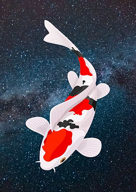 Koi Fish
