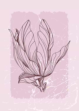 Scandinavian Magnolia