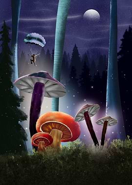 parachute into the magic