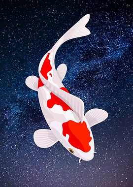 Koi Fish