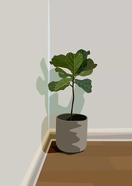 Ficus Fiddle Leaf Dark