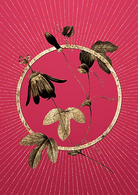 Gold Red Passion Flower