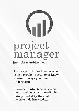 Project Manager Definition
