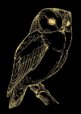 Owl Lovers Art 5