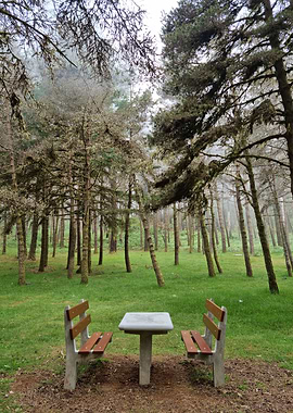 A table at the park