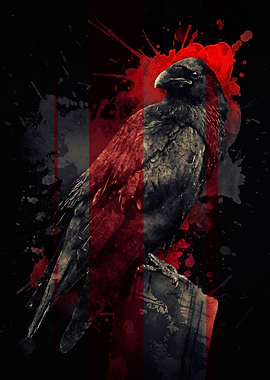 Raven Red and Black