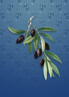 Olive Tree on Bahama Blue