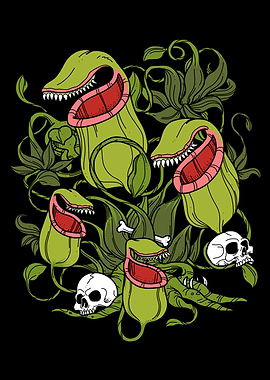 Northern Pitcher Plant