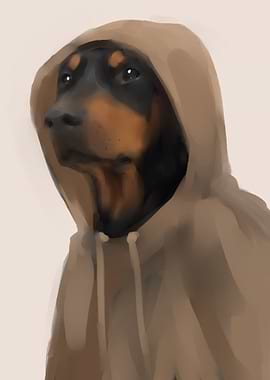 hoodie dog cool