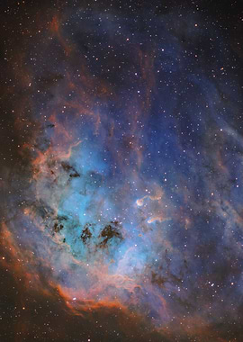 The Tadpoles of Auriga