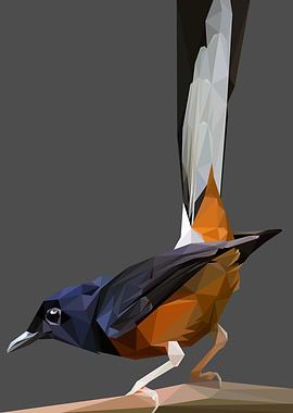 Murai Bird Lowpoly
