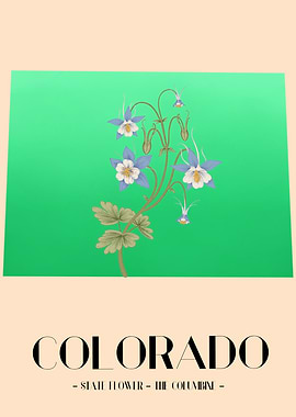 Colorado and The Columbine