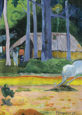 Cabane Sous Les Arbres