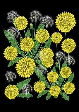 Dandelion Plant Flower