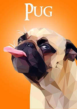 Pug