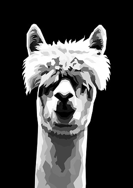 Alpaca